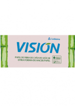 VISION