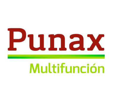 Punax