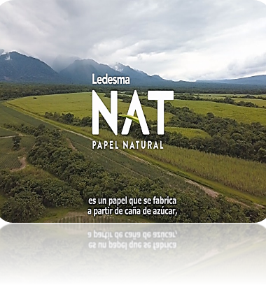 Ledesma NAT